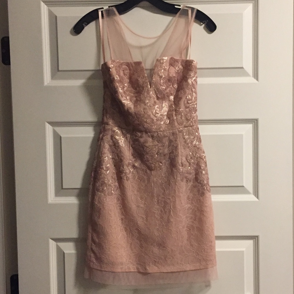 Bcbg sequin lace blush dress